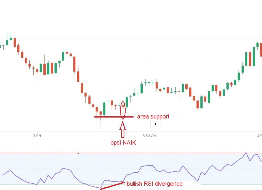 Opsi NAIK di Olymp Trade