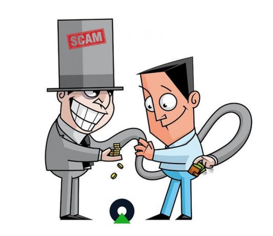 Ayam di Fixed Time Trade - Apakah Anda ayam?